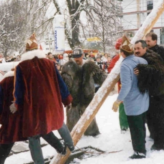 Schmutziger Donnerstag: Der Baum wird auf dem Gottmannplatz gestellt.