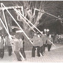 Narrenbaumstellen auf dem Gottmannplatz: Der Baum wurde wieder von den Holzern aus Allensbach gestellt.