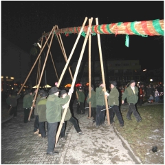 Narrenbaumstellen auf dem Gottmannplatz: Die Holzer aus Allensbach stellten den Baum.