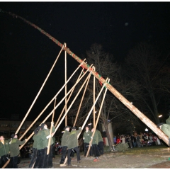 Narrenbaumstellen auf dem Gottmannplatz: Die Holzer aus Allensbach stellten den Baum.