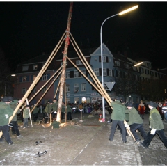 Narrenbaumstellen auf dem Gottmannplatz: Die Holzer aus Allensbach stellten den Baum.