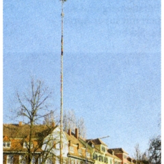 Narrenbaumfällen am Gottmannplatz: Noch stand der große Baum der Schneckenbürgler.