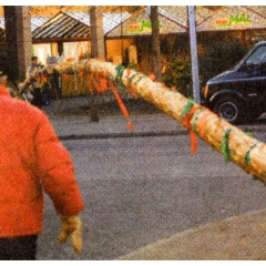 Narrenbaumfällen am Gottmannplatz: Der Kran legte langsam den Baum auf die Seite.