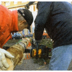 Narrenbaumfällen am Gottmannplatz: Nun konnte er zersägt und abtransportiert werden.