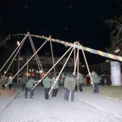 Narrenbaumstellen auf dem Gottmannplatz: Die Holzhauer aus Allensbach stellten den Baum.