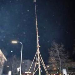 Narrenbaumstellen auf dem Gottmannplatz: Die Holzhauer aus Allensbach stellten den Baum.