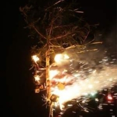 Narrenbaumstellen auf dem Gottmannplatz: Als er stand, wurde an der Spitze ein Feuerwerk entzündet.