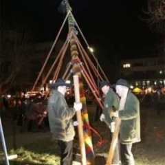 Narrenbaumstellen auf dem Gottmannplatz: Die Holzhauer aus Allensbach stellten den Baum.