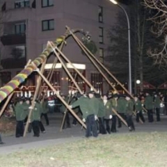 Narrenbaumstellen auf dem Gottmannplatz: Die Holzhauer aus Allensbach stellten den Baum.