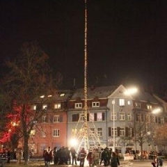 Narrenbaumstellen auf dem Gottmannplatz: Dann konnte der Baum von den Holzern aus Allensbach gestellt werden.