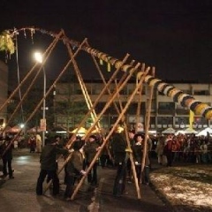 Narrenbaumstellen auf dem Gottmannplatz: Dann konnte der Baum von den Holzern aus Allensbach gestellt werden.