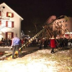 Narrenbaumstellen auf dem Gottmannplatz: Dann konnte der Baum von den Holzern aus Allensbach gestellt werden.