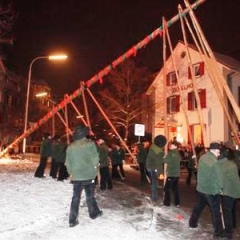 Narrenbaumstellen auf dem Gottmannplatz: Der Baum wurde wieder von den Allensbacher Holzern gestellt.