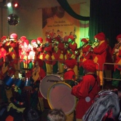 Rosenmontag mit der Clowngruppe: Der Abschluß bildete der Froschenball in Radolfzell.