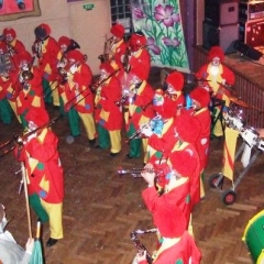 Rosenmontag mit der Clowngruppe: Auftritt in Rielasingen in der Rosenegghalle beim Ball der Katzenzunft Arlen.