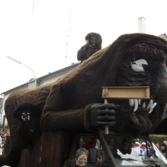 Umzug am Fasnachtssonntag: Der Schneeschreck bildet den Schluss.