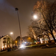 Narrenbaumstellen auf dem Gottmannplatz: Die Holzer aus Allensbach stellten den Baum.