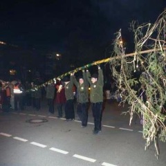 Narrenbaumstellen auf dem Gottmannplatz: Die Holzer aus Allensbach stellten den Baum für die Schneckenburg.