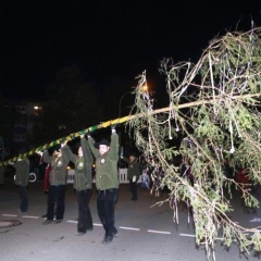 Narrenbaumstellen auf dem Gottmannplatz: Die Holzer aus Allensbach stellten den Baum für die Schneckenburg.