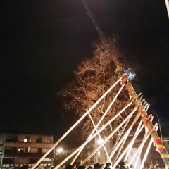 Narrenbaumstellen auf dem Gottmannplatz: Die Holzer aus Allensbach stellten den Baum für die Schneckenburg.