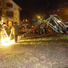 Narrenbaumstellen auf dem Gottmannplatz: Die Holzer aus Allensbach stellten den Baum für die Schneckenburg.