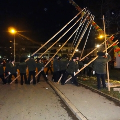 Narrenbaumstellen auf dem Gottmannplatz: Die Holzer aus Allensbach stellten den Baum für die Schneckenburg.