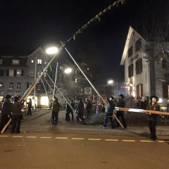 Narrenbaumstellen auf dem Gottmannplatz: Die Holzer aus Allensbach stellten den Baum für die Schneckenburg.