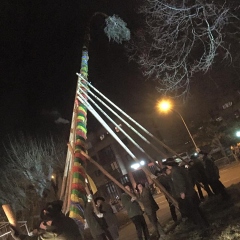 Narrenbaumstellen auf dem Gottmannplatz: Die Holzer aus Allensbach stellten den Baum für die Schneckenburg.