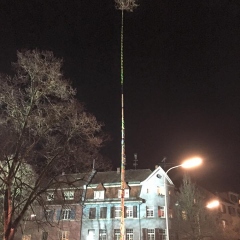 Narrenbaumstellen auf dem Gottmannplatz: Die Holzer aus Allensbach stellten den Baum für die Schneckenburg.