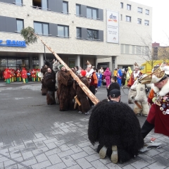 Schmutziger Donnerstag: Narrenbaumstellen beim EDEKA.