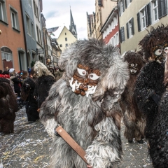 Umzug am Fasnachtssonntag: Der Schneeschreck schloss sich an.