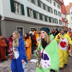 Umzug am Fasnachtssonntag: An der Spitze der Schneckenbürgler lief der Fanfarenzug.