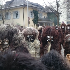 Umzug am Fasnachtssonntag: Der Schneeschreck schloss sich an.