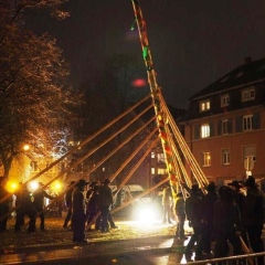 Narrenbaumstellen auf dem Gottmannplatz: Die Allensbacher Holzer stellten den Baum.