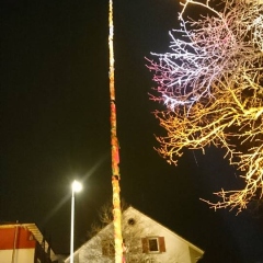 Narrenbaumstellen auf dem Gottmannplatz: Die Allensbacher Holzer stellten den Baum.