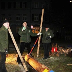 Narrenbaumstellen auf dem Gottmannplatz: Die Holzer aus Allensbach stellten den Baum.