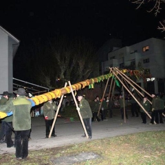 Narrenbaumstellen auf dem Gottmannplatz: Die Holzer aus Allensbach stellten den Baum.