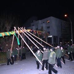 Narrenbaumstellen auf dem Gottmannplatz: Die Holzer aus Allensbach stellten den Baum.