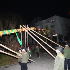 Narrenbaumstellen auf dem Gottmannplatz: Die Holzer aus Allensbach stellten den Baum.