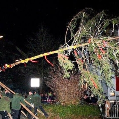 Narrenbaumstellen auf dem Gottmannplatz: Die Holzer aus Allensbach stellten den Baum.