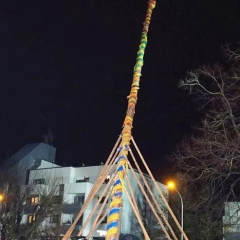 Narrenbaumstellen auf dem Gottmannplatz: Die Holzer aus Allensbach stellten den Baum.