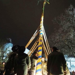 Narrenbaumstellen auf dem Gottmannplatz: Die Holzer aus Allensbach stellten den Baum.