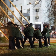 Narrenbaumstellen auf dem Gottmannplatz: Die Holzer aus Allensbach stellten den Baum.