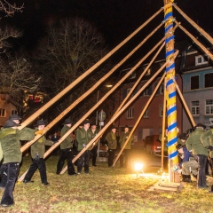 Narrenbaumstellen auf dem Gottmannplatz: Die Holzer aus Allensbach stellten den Baum.