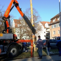 Narrenbaumfällen auf dem Gottmannplatz: Mit Hilfe eines Kranes wurde eine Schlaufe um den Stamm gelegt.