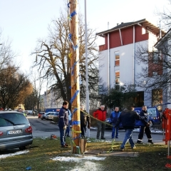 Narrenbaumfällen auf dem Gottmannplatz: Nun wurden Seile zur Sicherung um den Stamm gelegt.