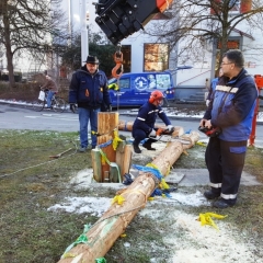 Narrenbaumfällen auf dem Gottmannplatz: Dann wurde der Baum mit dem Kran umgelegt und in Stücke zersägt.