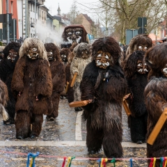 Umzug am Fasnachtssonntag: Den Schluß der Schneckenburg bildete der Schneeschreck.