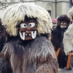 Umzug am Fasnachtssonntag: Den Schluß der Schneckenburg bildete der Schneeschreck.