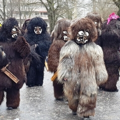 Umzug am Fasnachtssonntag: Den Schluß der Schneckenburg bildete der Schneeschreck.